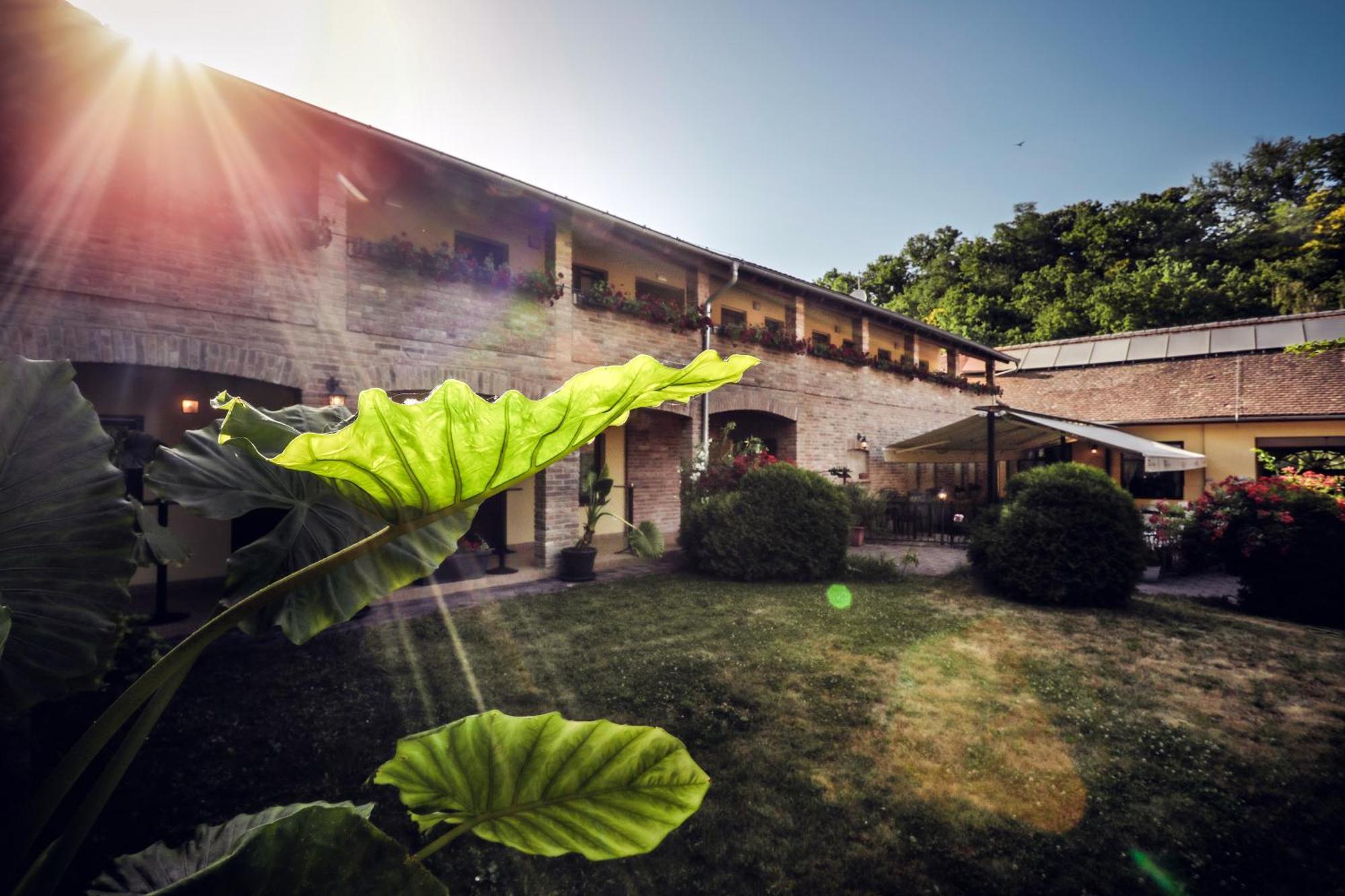 Rooms Villa Iva Ilok Exterior photo
